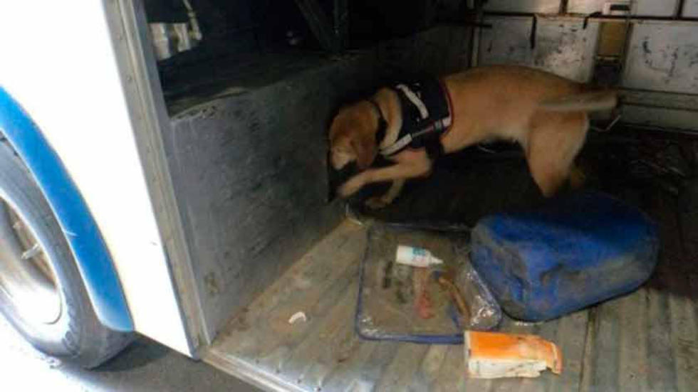 Dos bolivianos llevaban droga en un bus a Chile