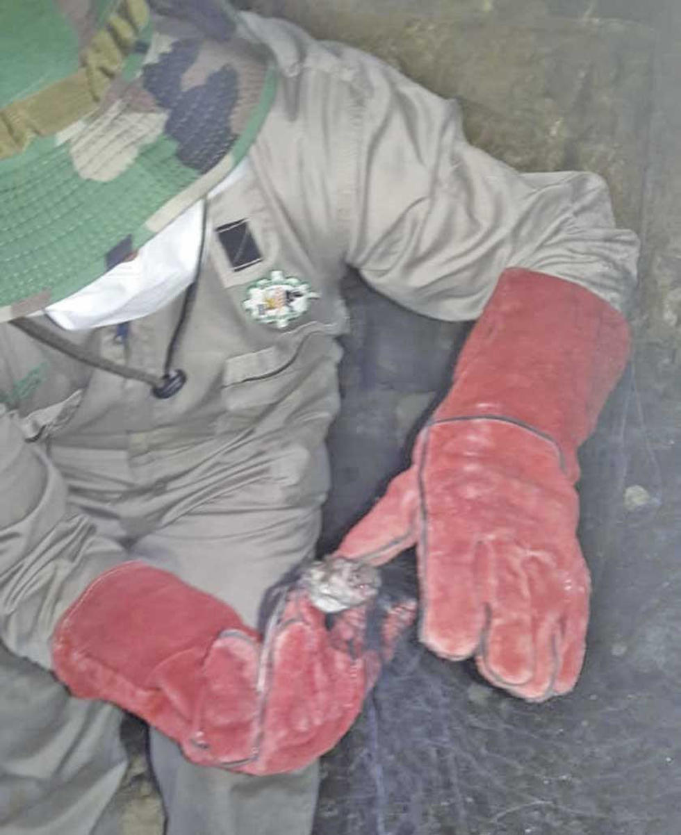 Capturan a vampiros  que aterrorizan a los dueños de animales