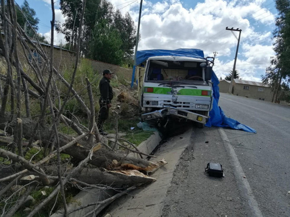 Chofer se estrelló contra un árbol y sobrevivió al fuerte impacto