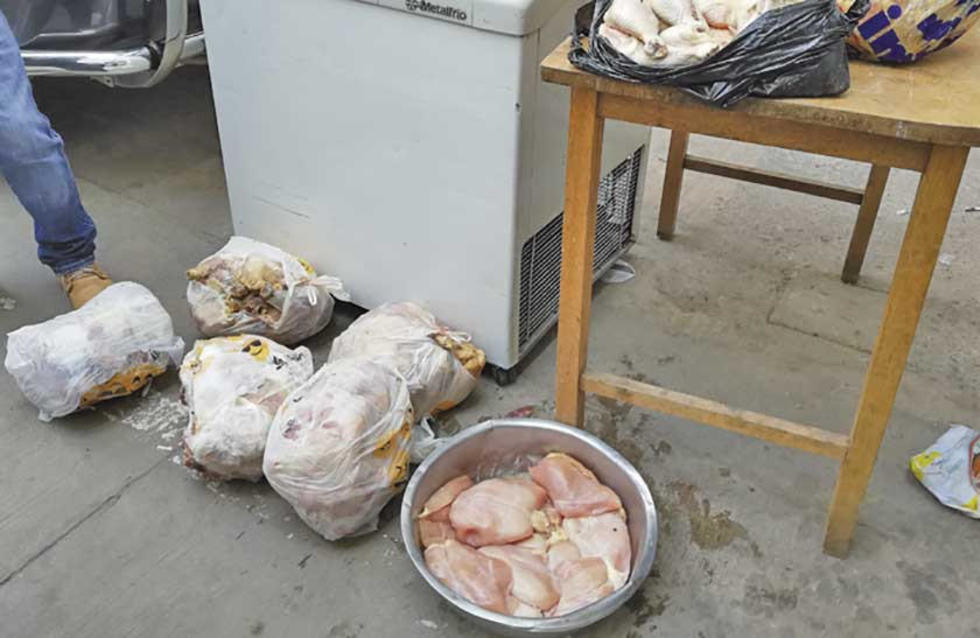 Policía decomisa casi 60 kilos de carne de pollo putrefacto congelado