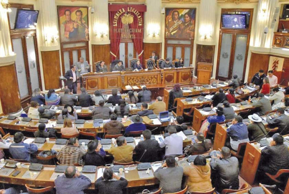 Afines al MAS se inclinan por una renovación total de la Asamblea 