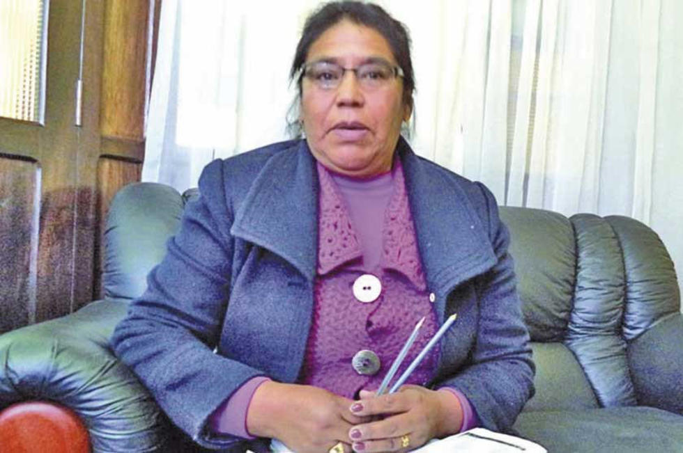 Legisladores analizan carpeta sobre el incremento salarial