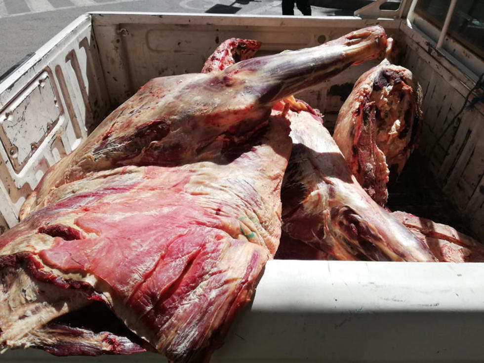 Incautan carne que era transportada a Uyuni en el buzón de una flota