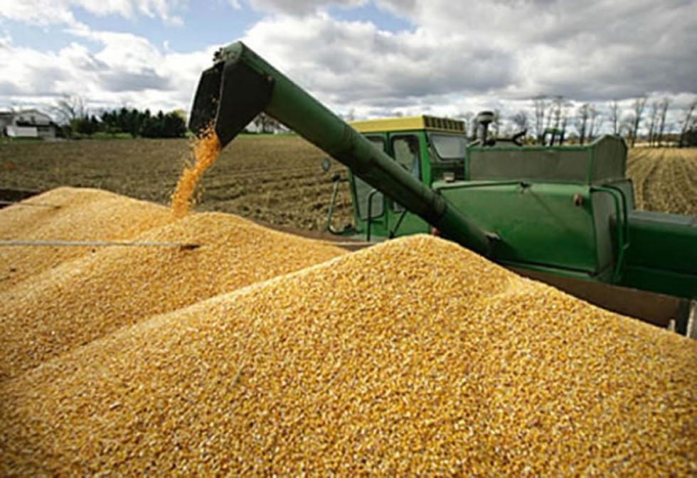 Suben cupo de exportación de soya hasta 60 por ciento