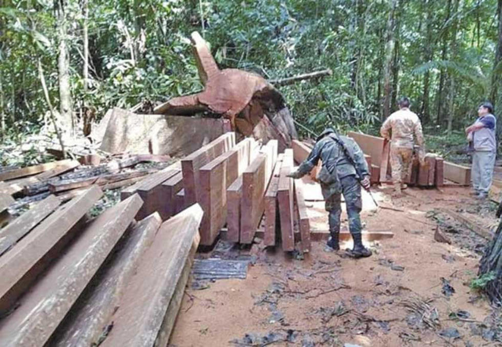 Detienen a 7 peruanos que traficaban madera