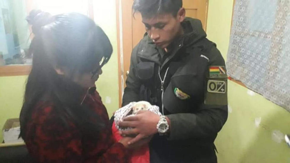Oruro: erizo hallado en un colegio era de Argentina y fue devuelto a ese país
