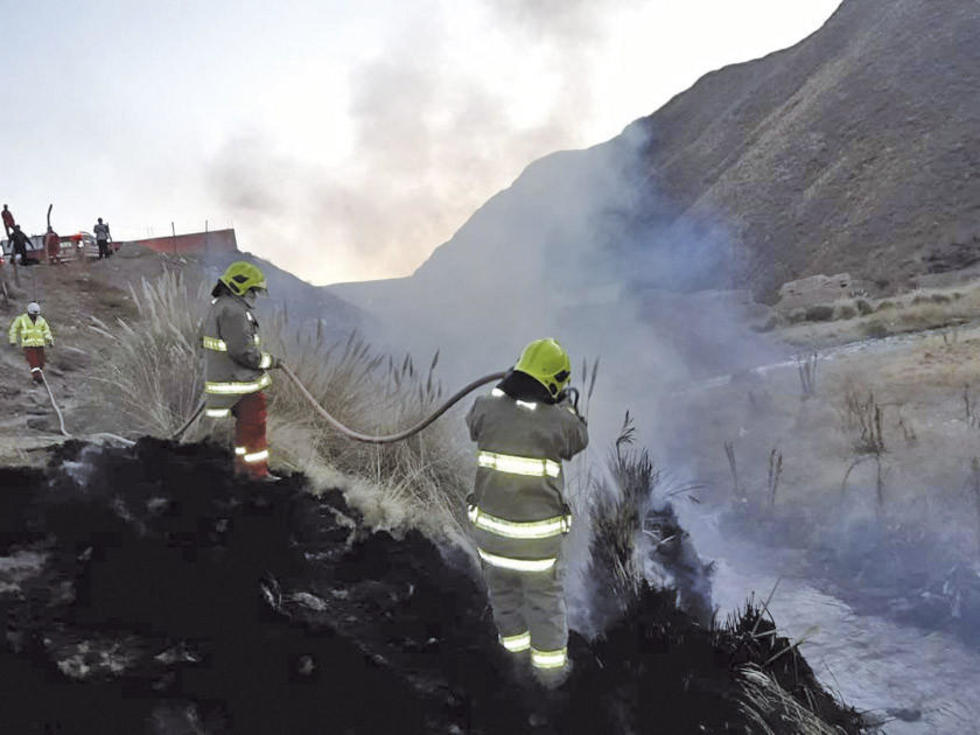 Bomberos sofocan incendio de matorrales en la ciudad