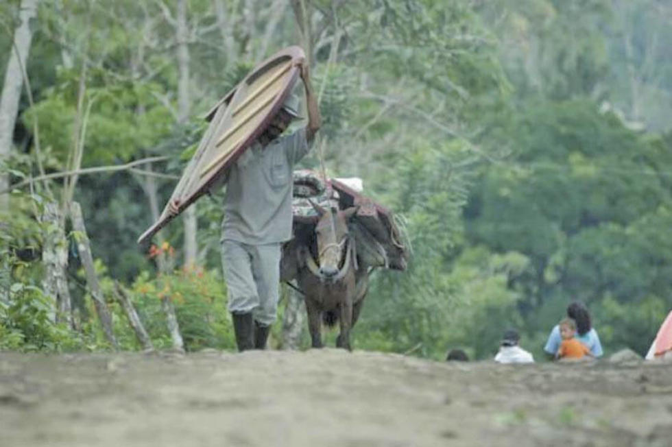 Consejo Noruego alerta de 830 desplazados en región colombiana