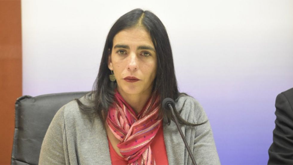 Ministra pide mantener la calma ante el arenavirus