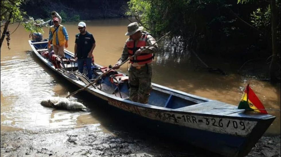 La Armada decomisa 49 caimanes y lagartos en el río Yacuma