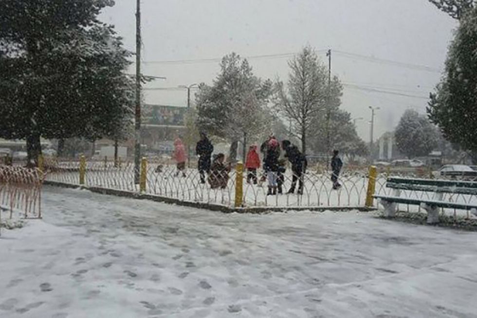 Suspenden las clases en el municipio de Potosí hasta el lunes 29 de julio