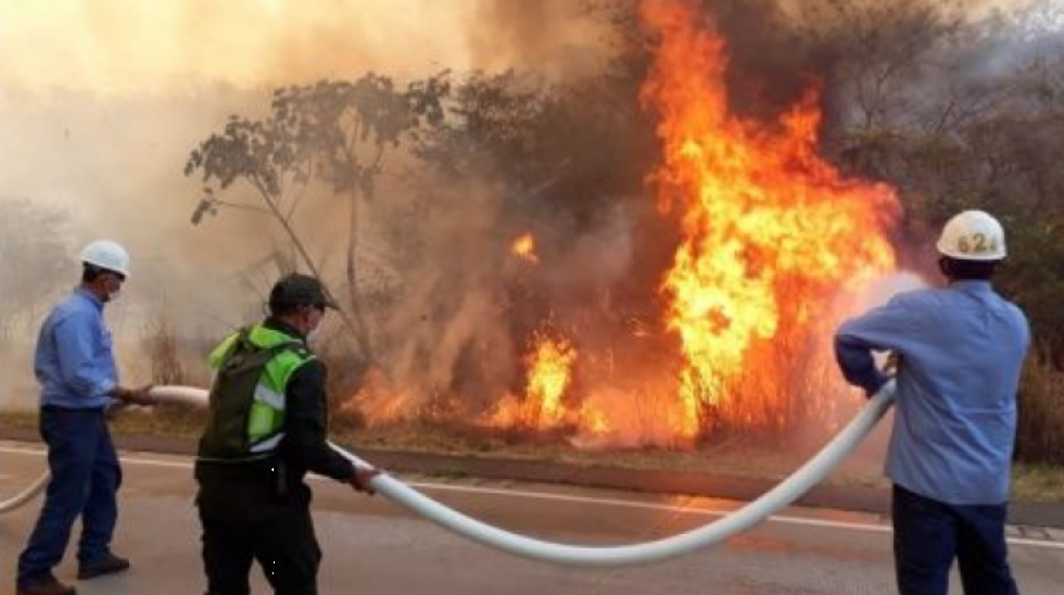 Entidades académicas piden declarar zona de desastre y gestionar ayuda para la Chiquitania