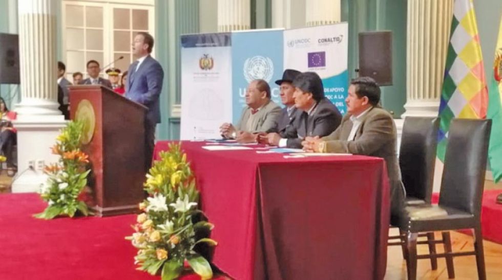 Extensión de cultivos de hoja de coca en Bolivia se redujo en 6 %