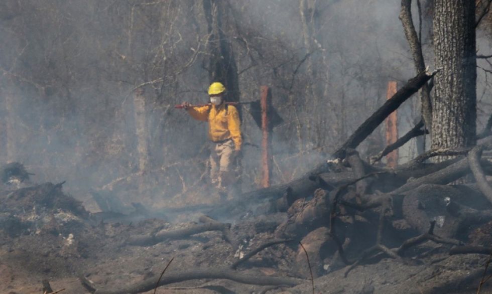 Gobierno reporta 1.817 familias afectadas por incendio forestal