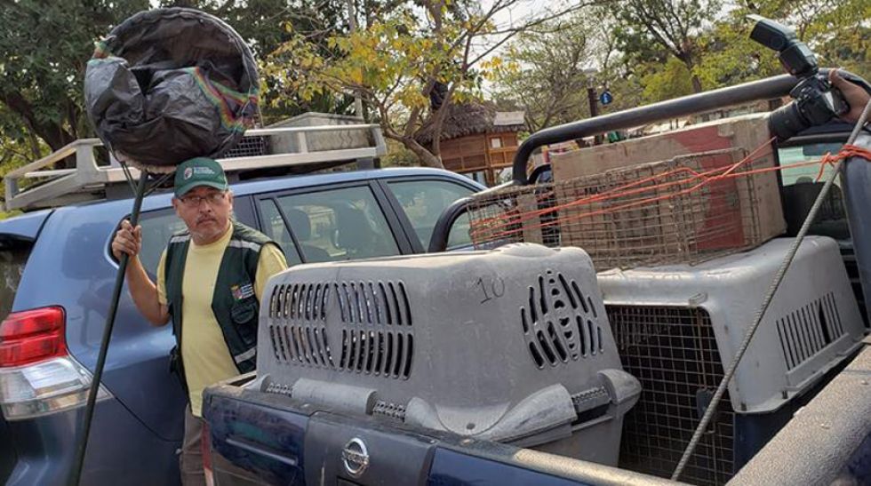 Habilitan refugios para animales silvestres afectados en la Chiquitanía