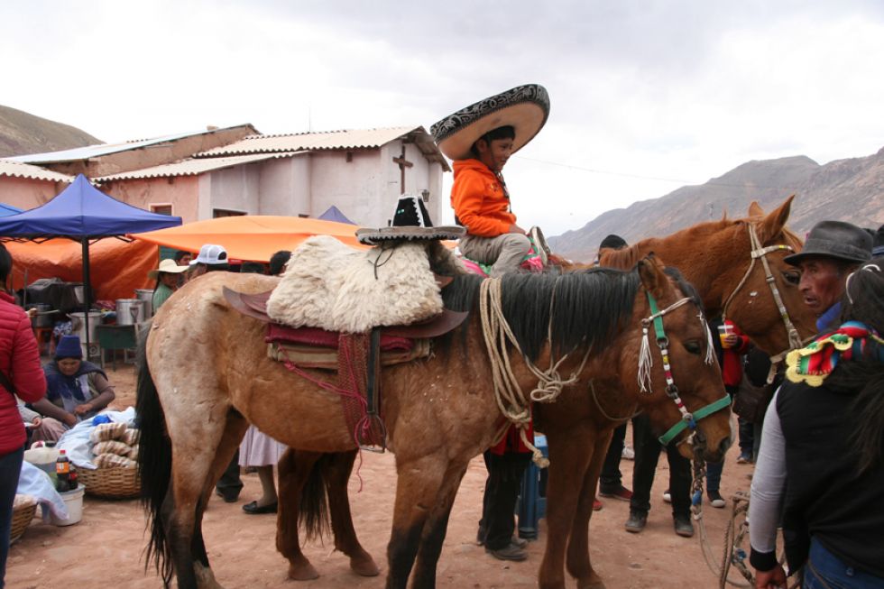 Reportan posibles heridas  en un choque con caballo