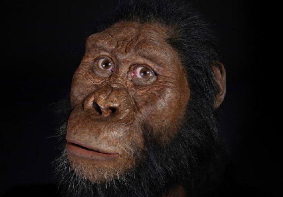 Hallan cráneo de antiguo Homo Sapiens