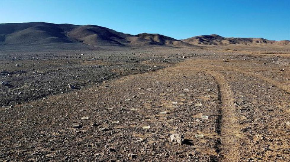 Humanos causaron un daño ambiental