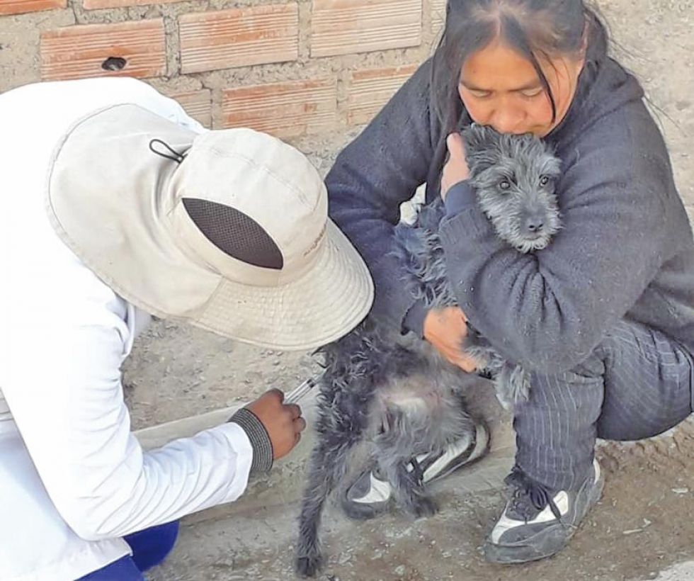 La vacunación antirrábica seguirá en el Departamento