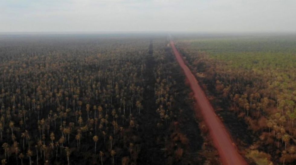 Son 13 territorios protegidos que fueron afectados por incendios