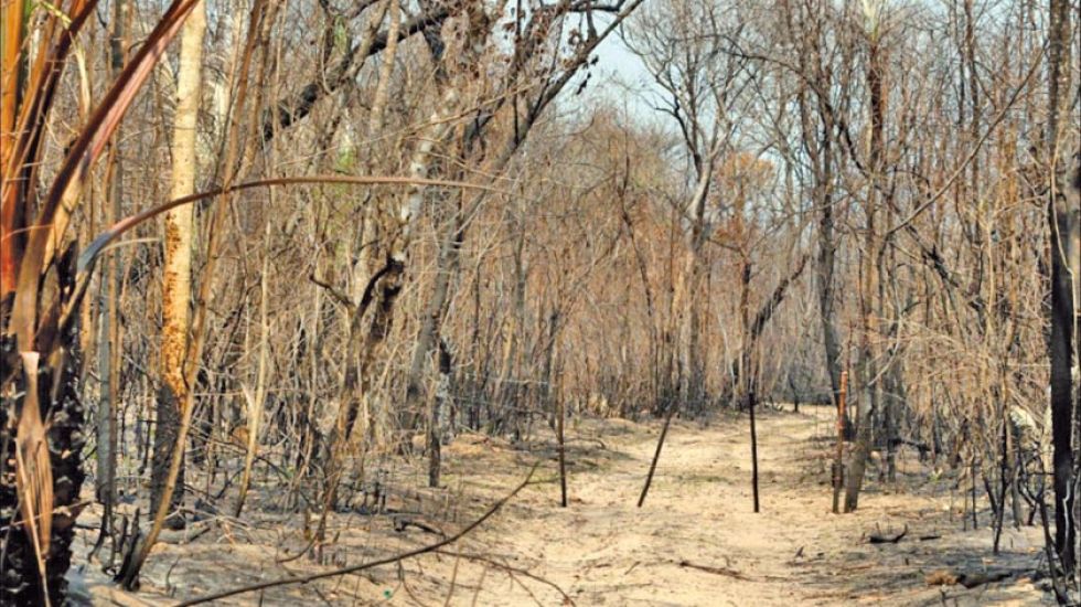 Santa Cruz: ley ambiental prohíbe asentamientos en áreas afectadas