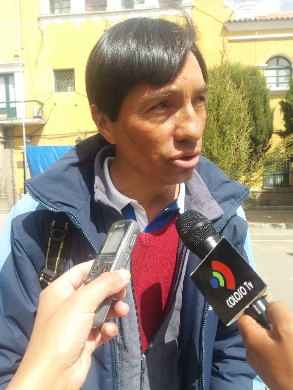 Alcaldía busca plantar 50 mil arbolitos con ayuda de bachilleres