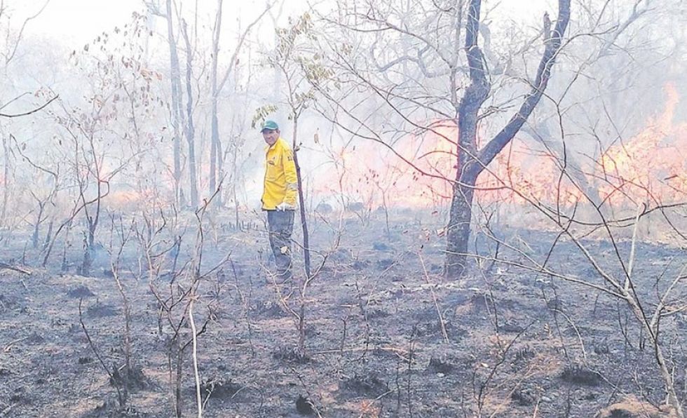 Construyen las brechas cortafuego para detener el avance de las llamas