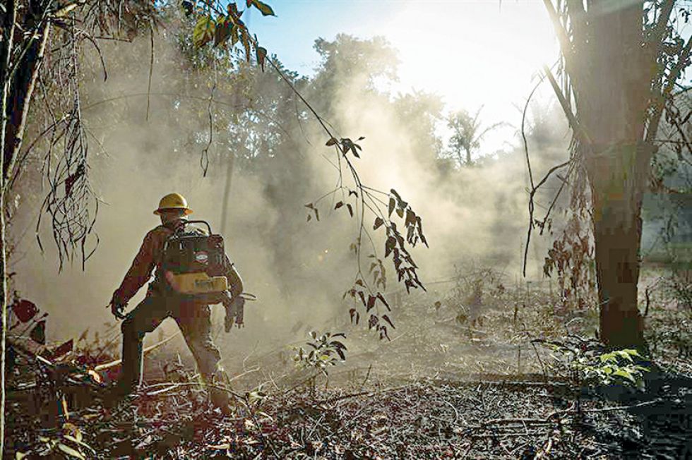 Identifican clan mafioso en incendios en Amazonía