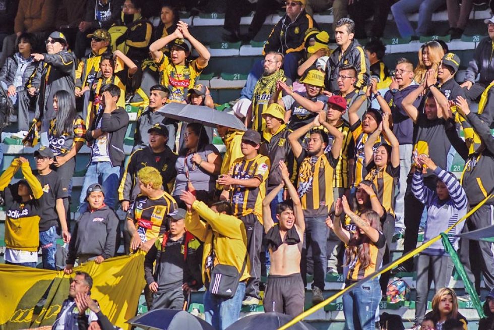 Las bajas recaudaciones preocupan a los atigrados 