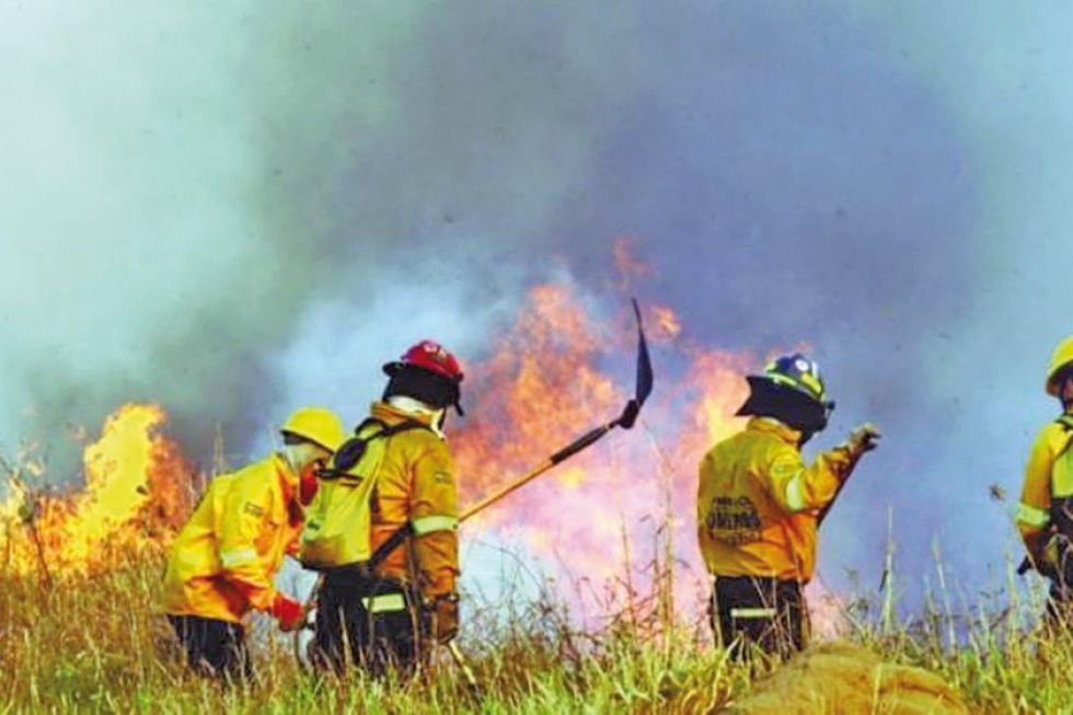 FAN: incendios ya consumieron 4.1 millones de hectáreas en Bolivia