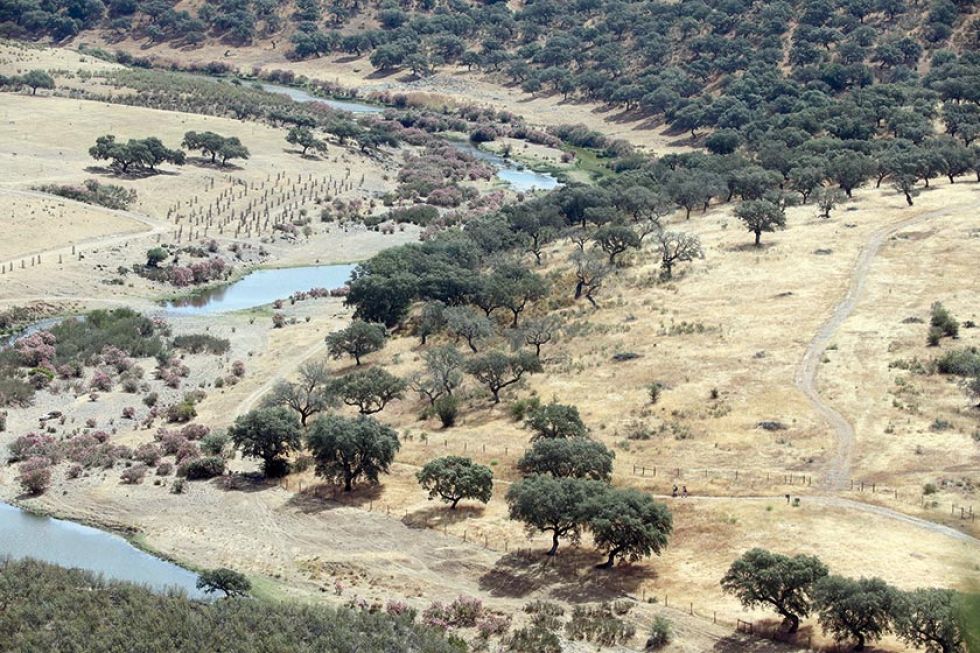 Reclaman a los gobiernos abordar crisis climática