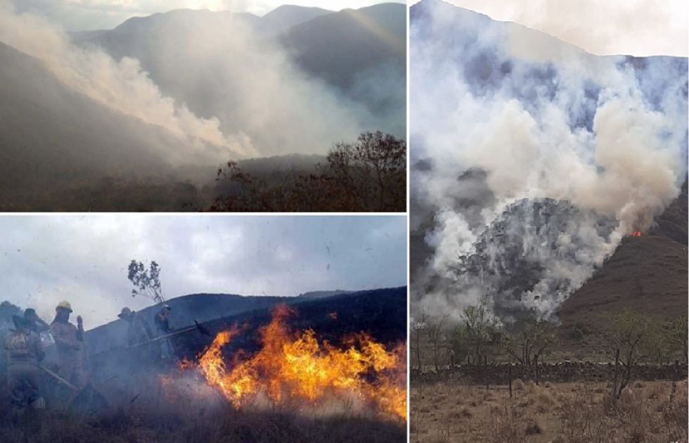 Incendios forestales afectan al Madidi y a la serranía de Sama