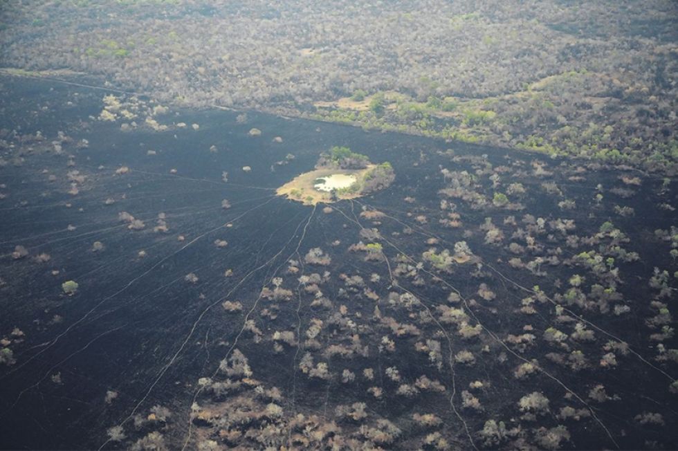 El 43 % del daño por el fuego se registra en las áreas protegidas