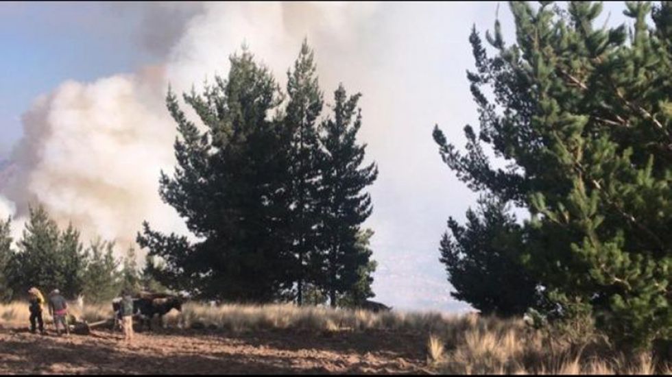Incendio en Parque Tunari causa alarma en la Llajta