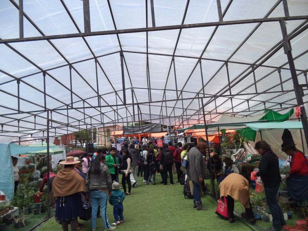Cierra la feria de flores y plantas de altura en Potosí