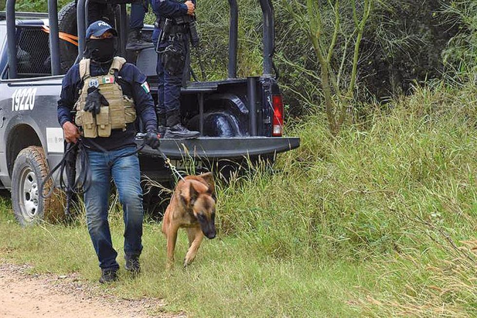 Hallan fosa con restos de tres personas en México