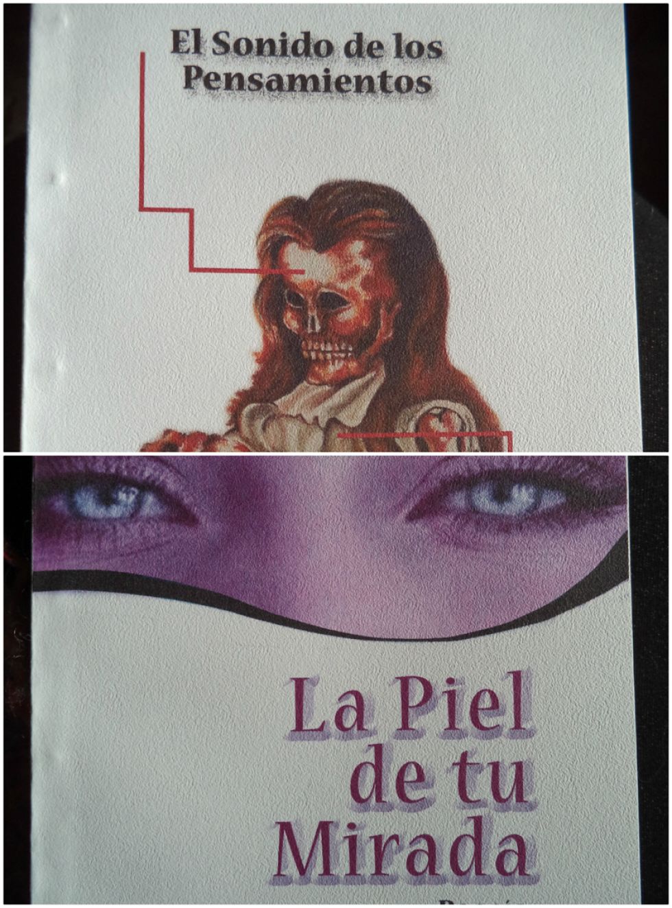 Daniel Medinaceli presenta dos libros con varias poesías 