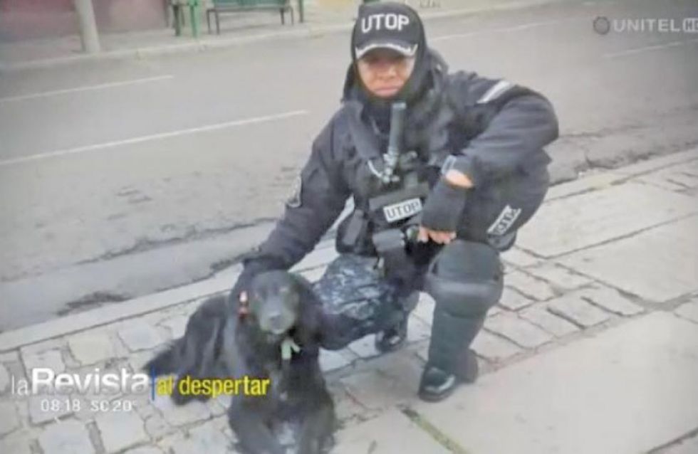 Muere el can y compañero del fallecido comandante Antelo