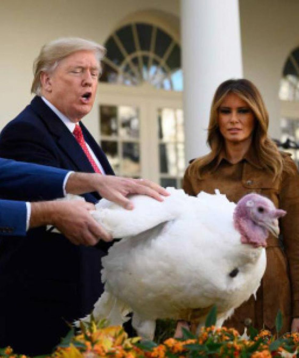 EEUU celebra el  tradicional día de Acción de Gracias