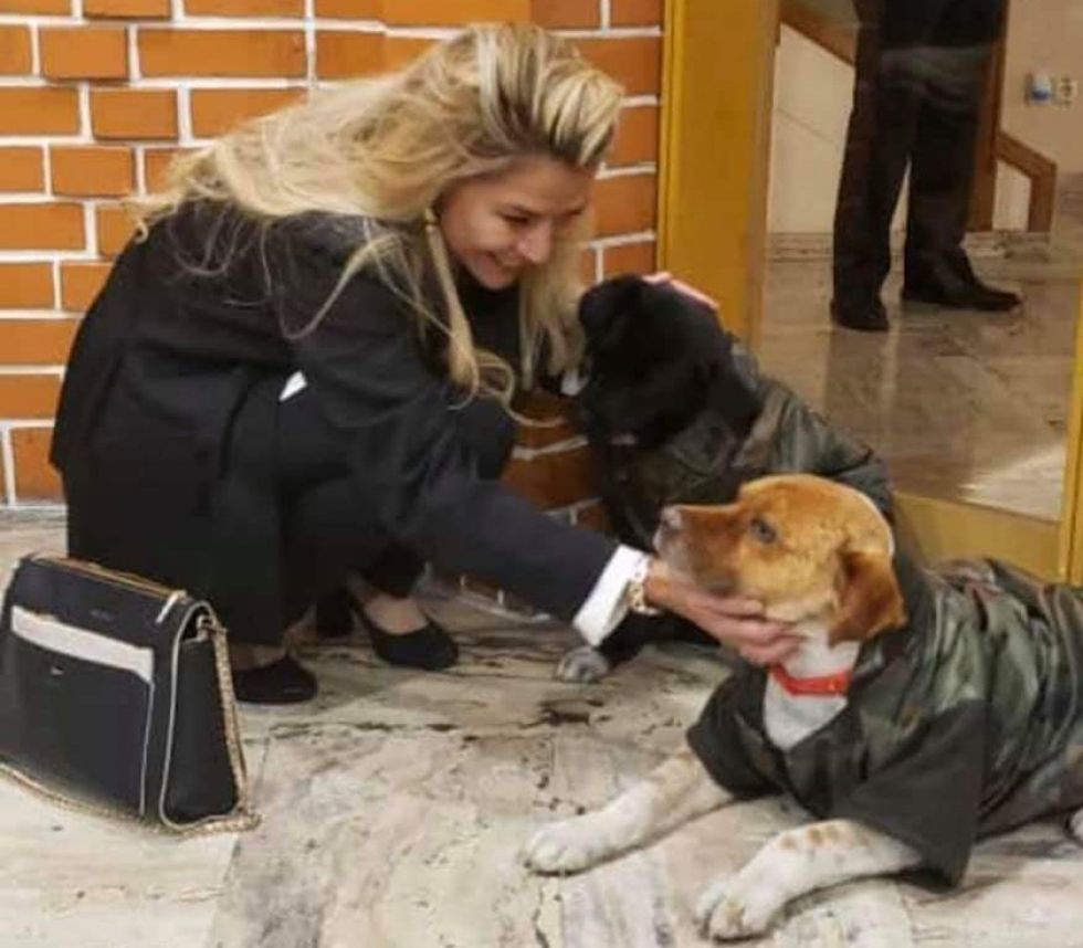 Presidenta Áñez adopta a Pitita y Negrito 