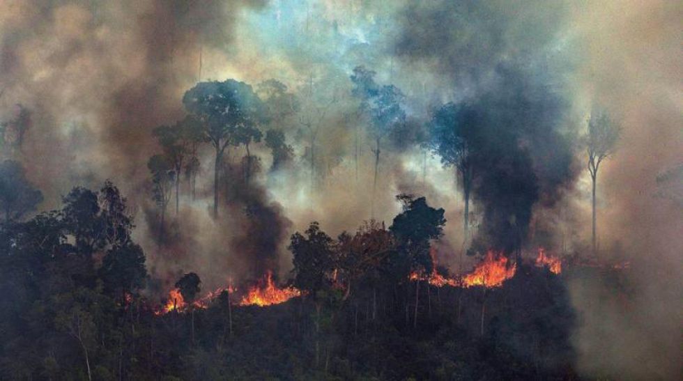 DiCaprio rebate a Bolsonaro y  niega que financie incendios