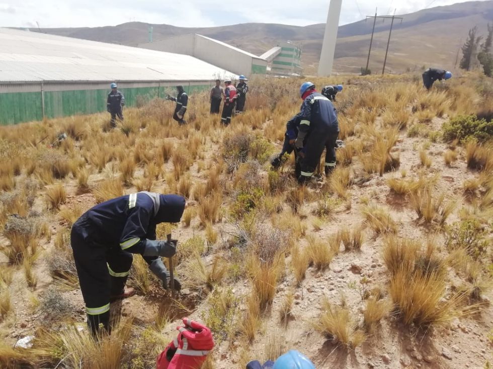 Funcionarios de la Gobernación y de Karachipampa preparan terreno para plantar árboles
