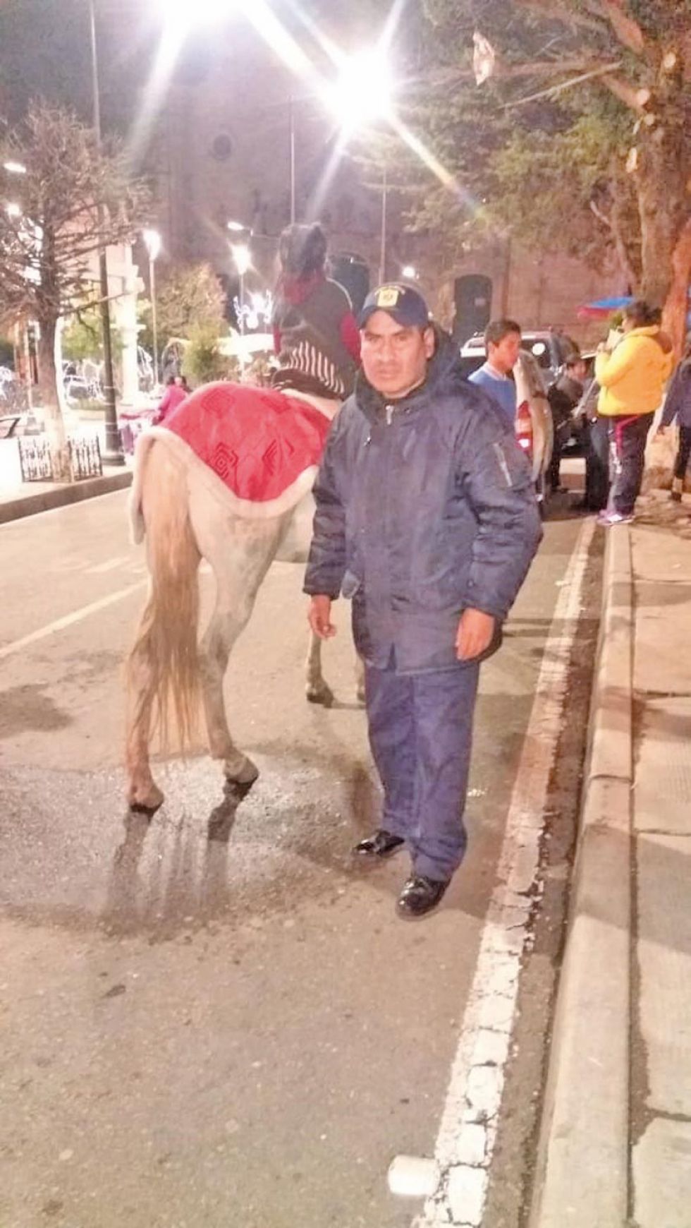 No se aclara legalidad del uso de caballos en la plaza
