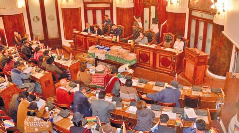Legislativo fija para el sábado 11 la interpelación a dos ministros de Áñez 