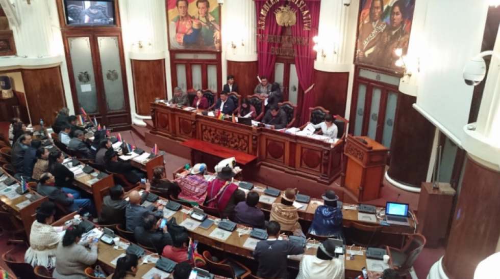 El MAS ratifica que si Añez no promulga la ley de garantías ellos lo harán