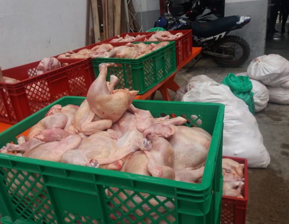 Incautan más de mil kilos de pollo por mal transporte