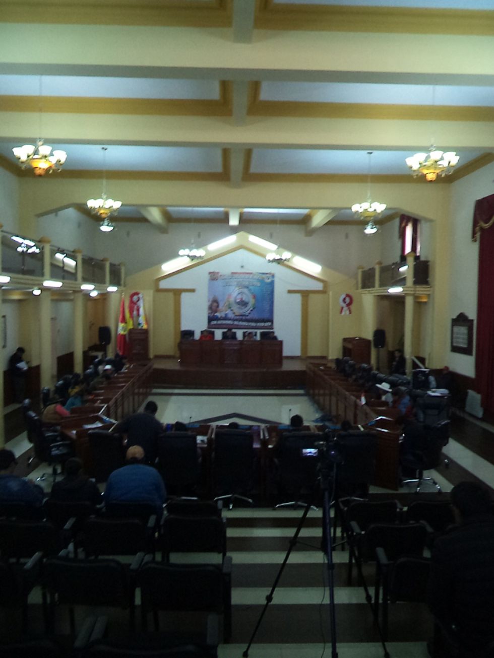 La Asamblea aprueba la Ley Departamental de Camélidos
