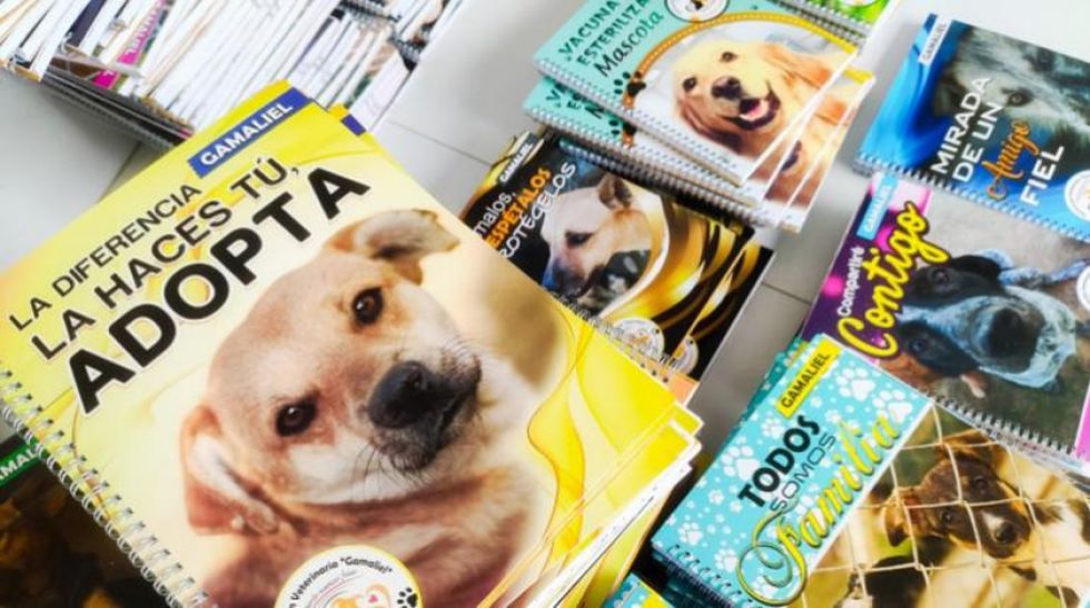 Inicia campaña "un cuaderno para un can" en Cochabamba