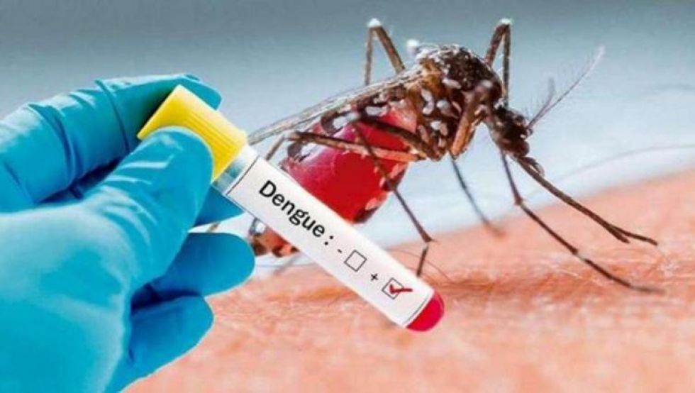 Dengue es más preocupante que el coronavirus en Sudamérica
