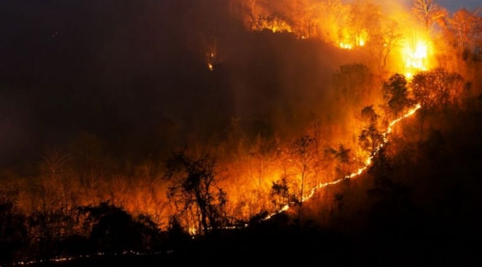 Denuncian que el Gobierno mantiene en la impunidad a responsables del incendio de la Chiquitania